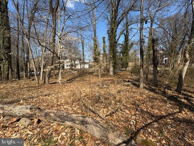 8123 Stacey Rd, Alexandria, VA 22308