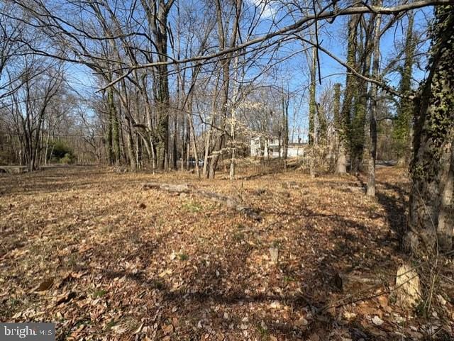 8123 Stacey Rd, Alexandria, VA 22308