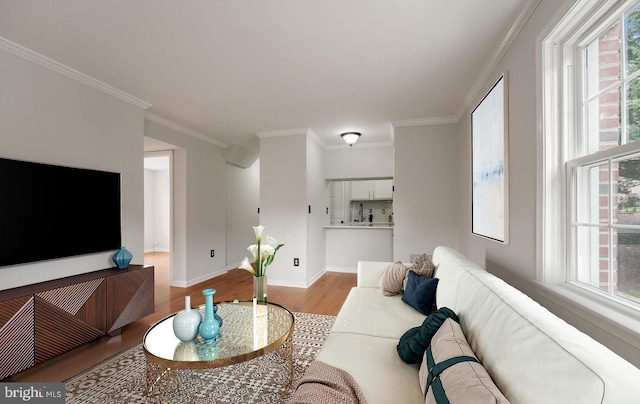 living area featuring ornamental molding, plenty of natural light, and wood finished floors