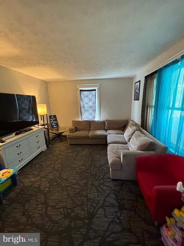 carpeted living area featuring a textured ceiling