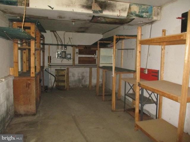 unfinished basement featuring electric panel