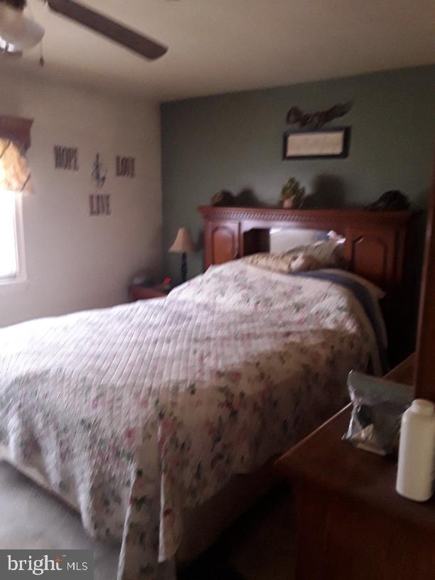 bedroom with a ceiling fan