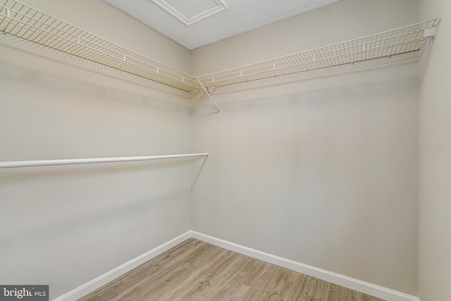 walk in closet with light wood-style floors