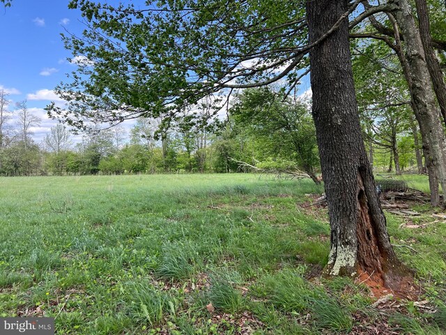 Cherry Ridge Rd, Mount Storm, WV 26739