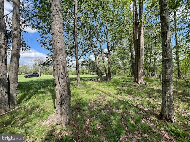 Cherry Ridge Rd, Mount Storm, WV 26739