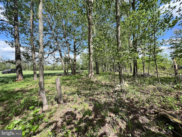 Cherry Ridge Rd, Mount Storm, WV 26739