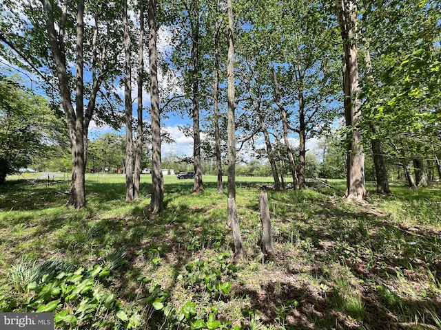 Cherry Ridge Rd, Mount Storm, WV 26739