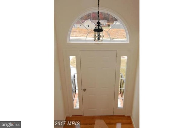 foyer entrance with plenty of natural light and wood finished floors