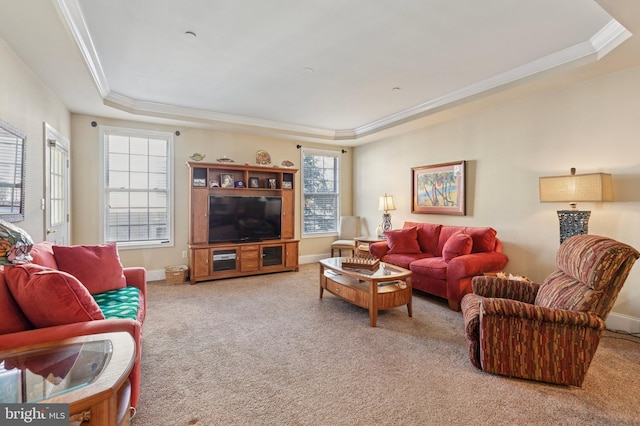 living room with ornamental molding, a tray ceiling, and carpet flooring