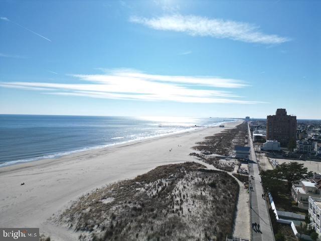 water view featuring a beach view