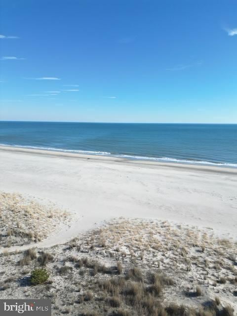 property view of water with a view of the beach