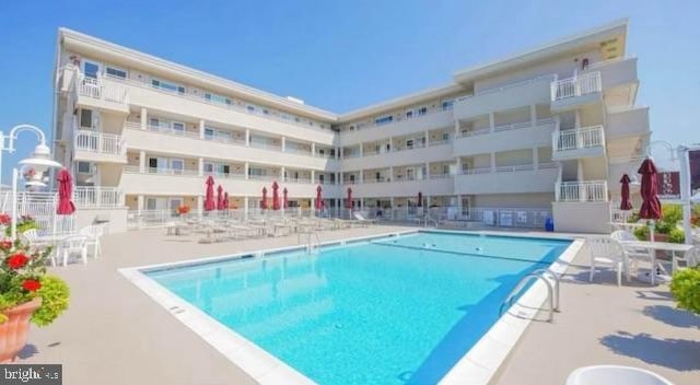 view of pool featuring a patio area