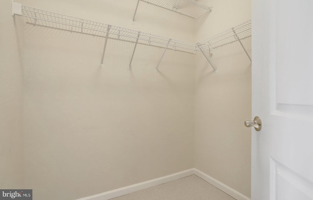 view of walk in closet