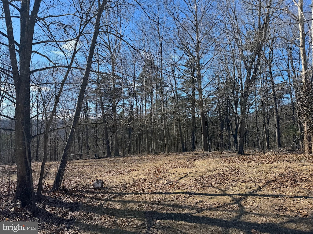 view of nature featuring a forest view