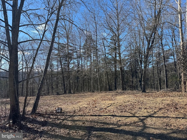 view of nature featuring a forest view