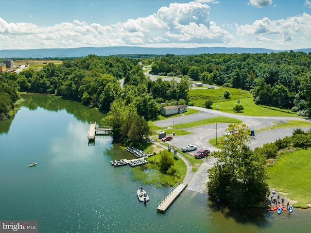 drone / aerial view with a water view and a view of trees