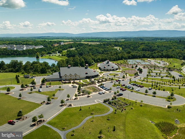 aerial view with a water view and a view of trees