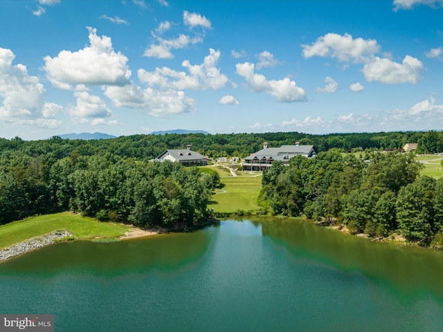 bird's eye view with a water view and a wooded view