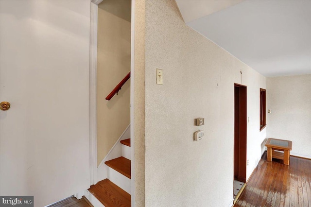 staircase with wood finished floors