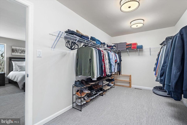 walk in closet with carpet flooring