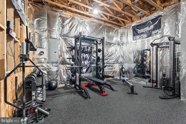 workout area with electric panel