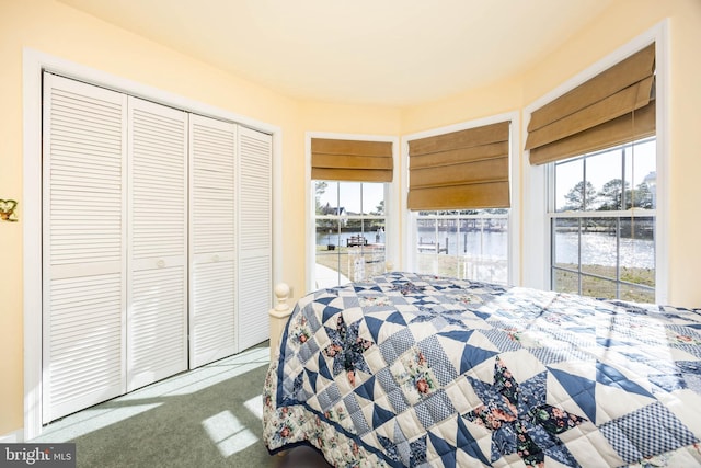 bedroom with a closet and carpet floors