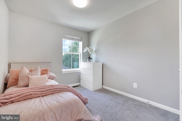 bedroom featuring carpet floors and baseboards