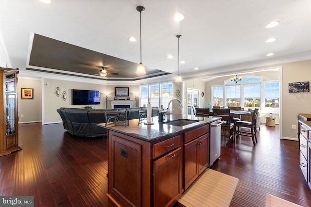 kitchen featuring dark wood-style floors, a tray ceiling, a fireplace, stainless steel dishwasher, and a sink