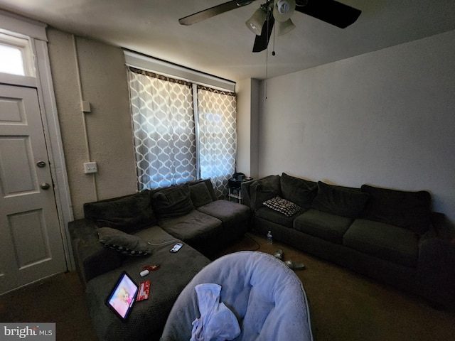 living area with a ceiling fan