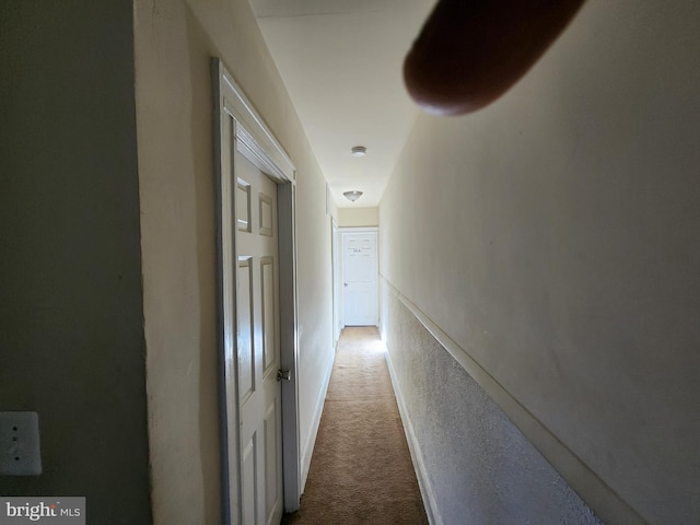 hallway featuring carpet flooring