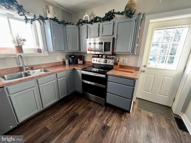 kitchen with dark wood-type flooring, gray cabinets, stainless steel appliances, and a sink