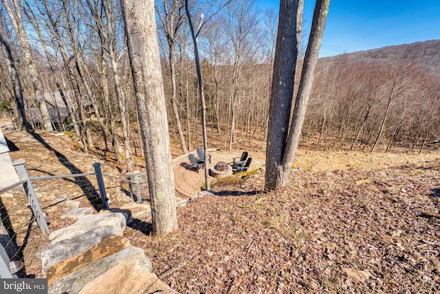 view of local wilderness featuring a wooded view