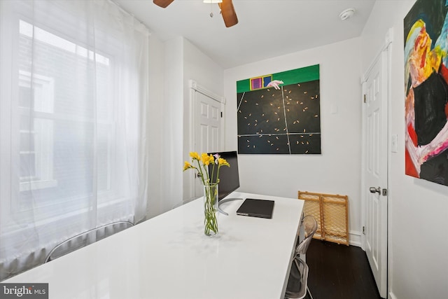 interior space with dark wood finished floors and ceiling fan