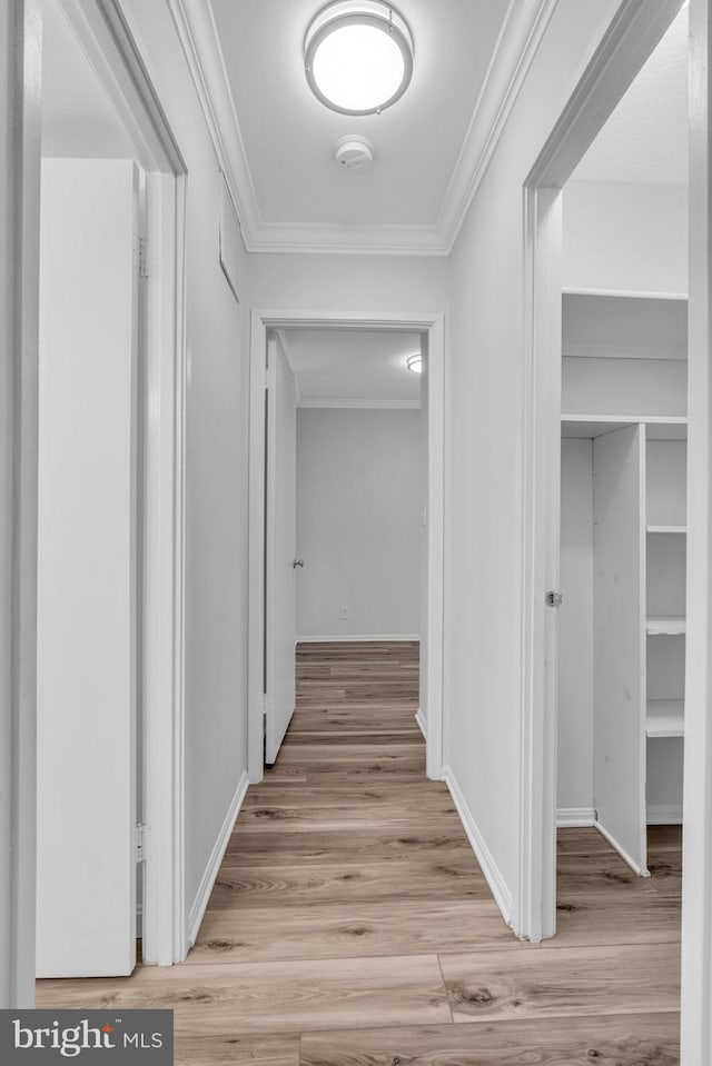 hallway with baseboards, wood finished floors, and crown molding