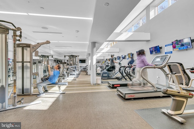 workout area featuring carpet floors