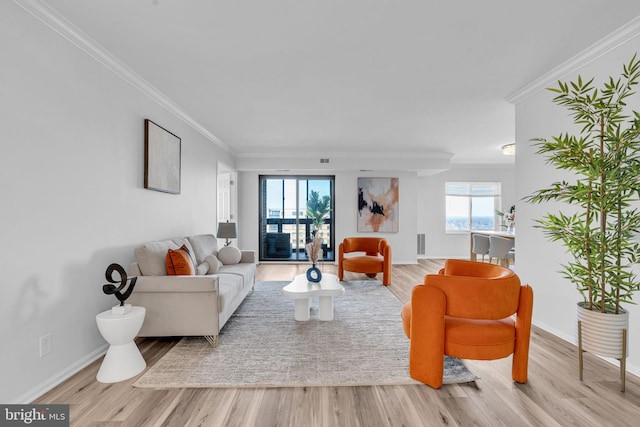 living area featuring ornamental molding, baseboards, and wood finished floors