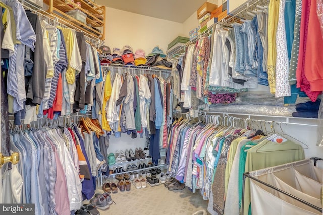 spacious closet with carpet