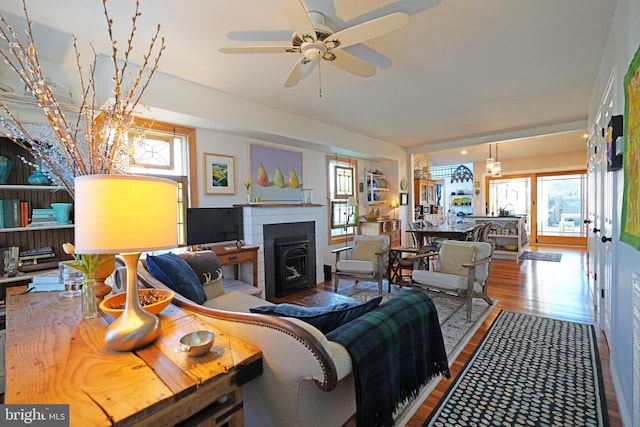 living area featuring a ceiling fan and wood finished floors