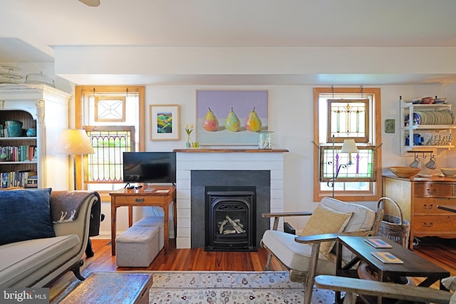 living area featuring a fireplace, plenty of natural light, and wood finished floors