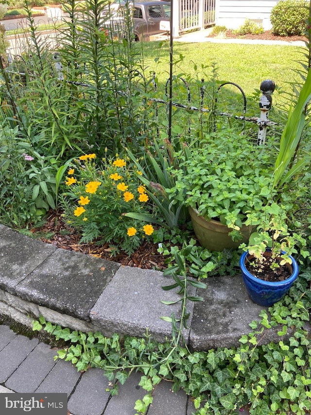 exterior details featuring fence