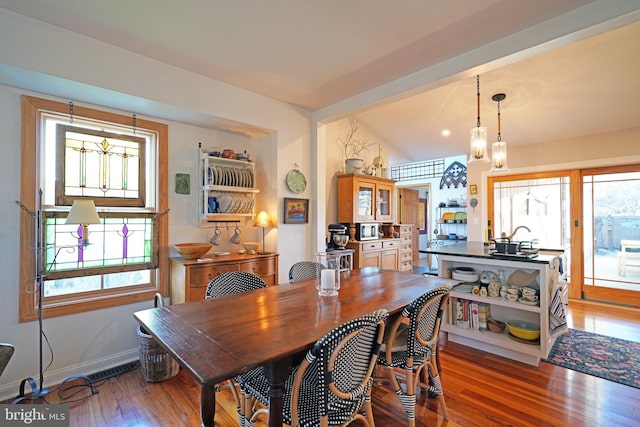 dining room featuring baseboards, wood finished floors, and a healthy amount of sunlight