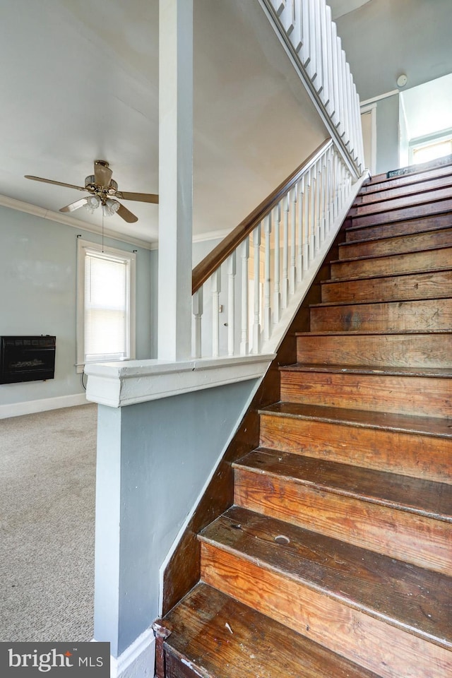 stairs featuring baseboards, a ceiling fan, crown molding, carpet floors, and a fireplace