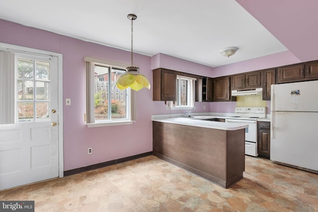 kitchen with dark brown cabinetry, white appliances, under cabinet range hood, and light countertops