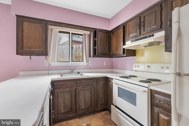 kitchen with under cabinet range hood, white appliances, a sink, light countertops, and dark brown cabinets