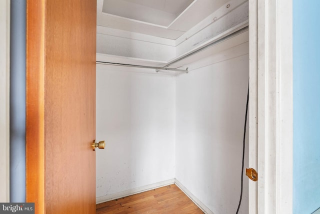 spacious closet featuring wood finished floors