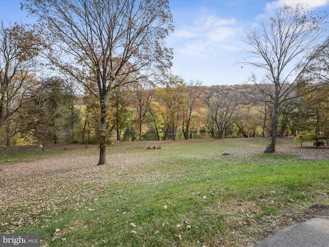 view of yard with a wooded view