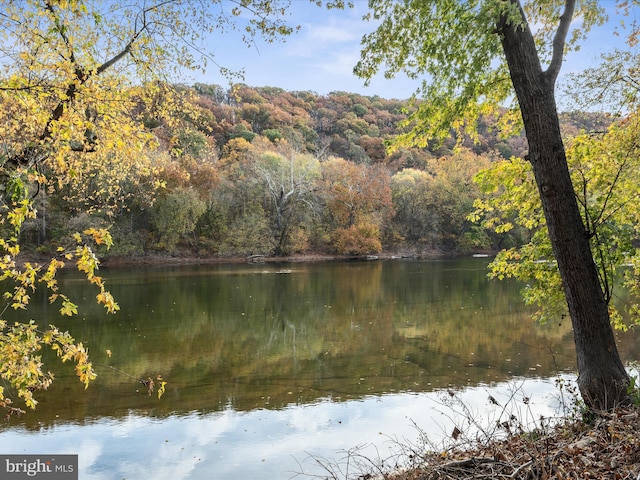 water view featuring a forest view