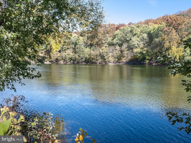 water view featuring a view of trees