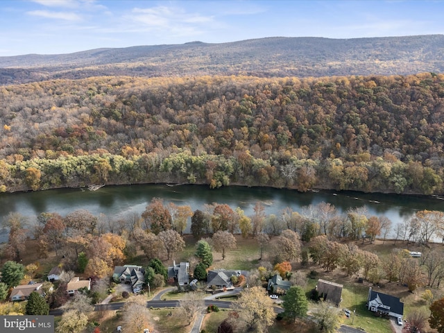 drone / aerial view featuring a forest view and a water view