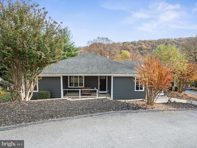 ranch-style house with a porch and roof with shingles